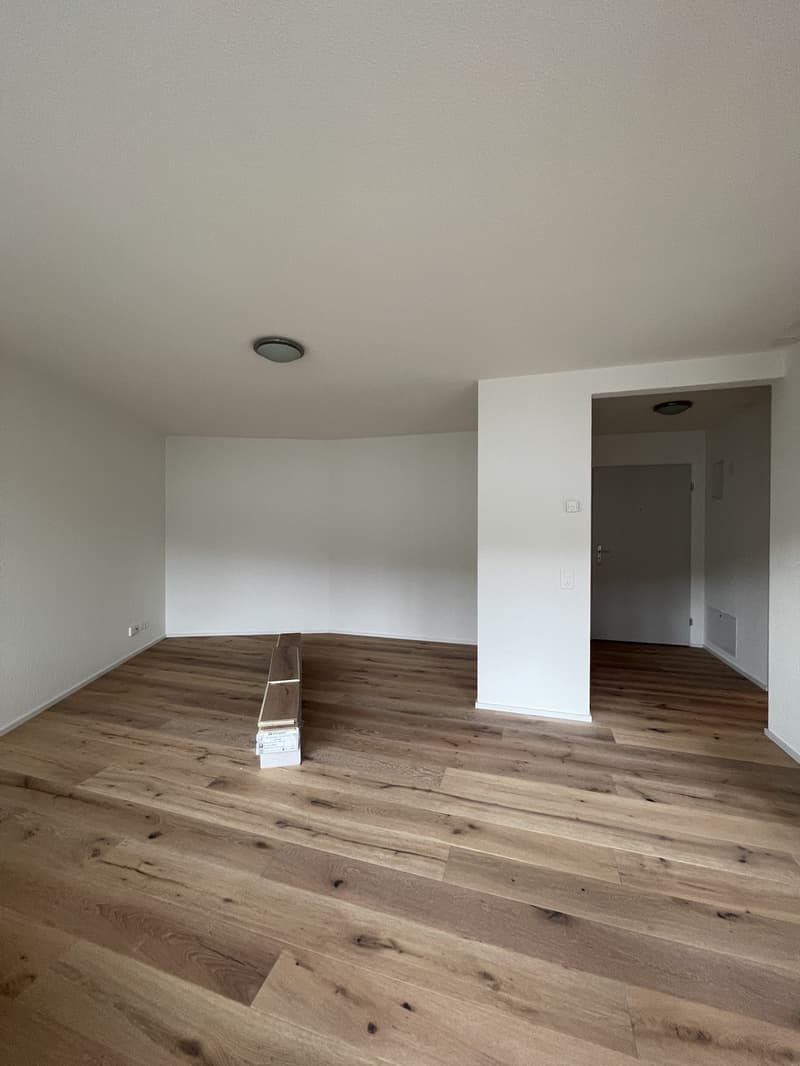 MODERNE, sanierte 1.5-Zimmerwohnung an zentraler Lage (2)