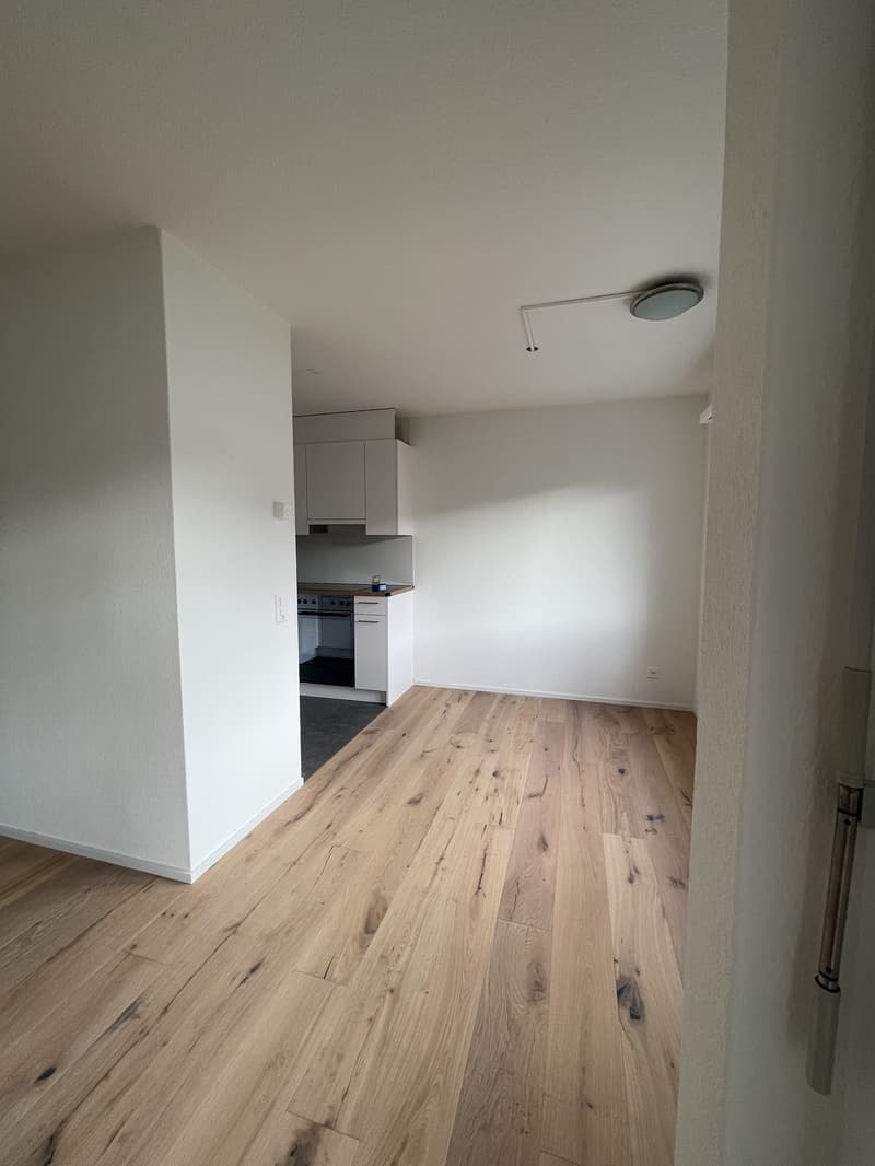 MODERNE, sanierte 1.5-Zimmerwohnung an zentraler Lage (5)