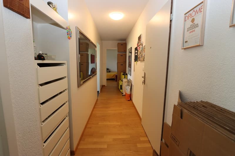 EXKLUSIVE 2.5 ZIMMERWOHNUNG IN ZOFINGEN (3)