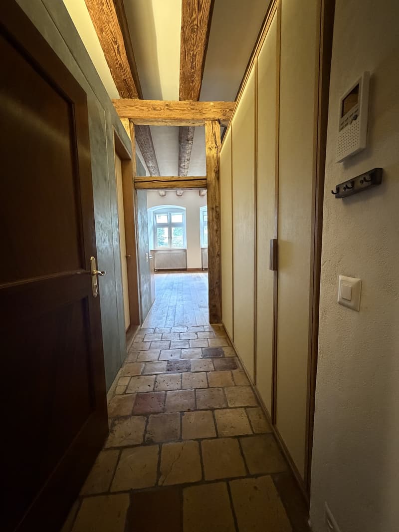 60 m² Neubau-Studio mit 4 m hohen Decken im Zürcher Niederdorf (3)
