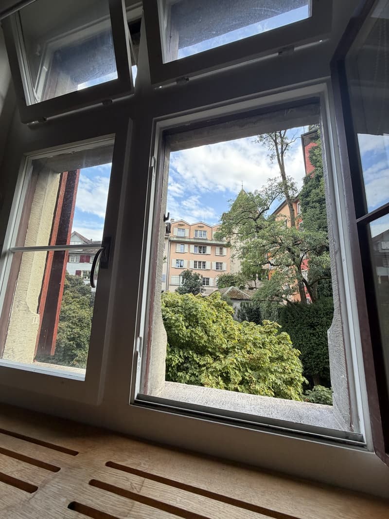 60 m² Neubau-Studio mit 4 m hohen Decken im Zürcher Niederdorf (4)