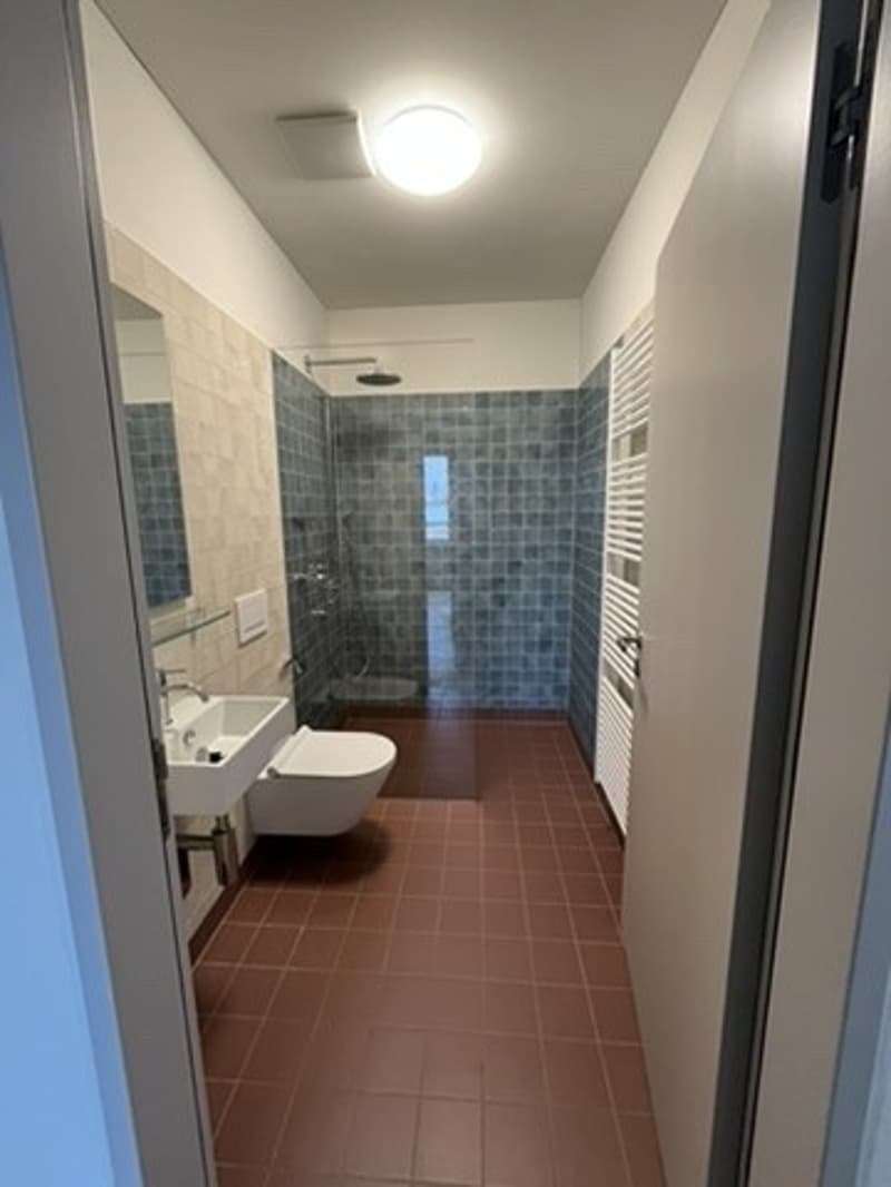 Grosszügige 3.5 Zimmer Wohnung beim Kreuzplatz Zürich mit Aussicht ins Grüne (6)
