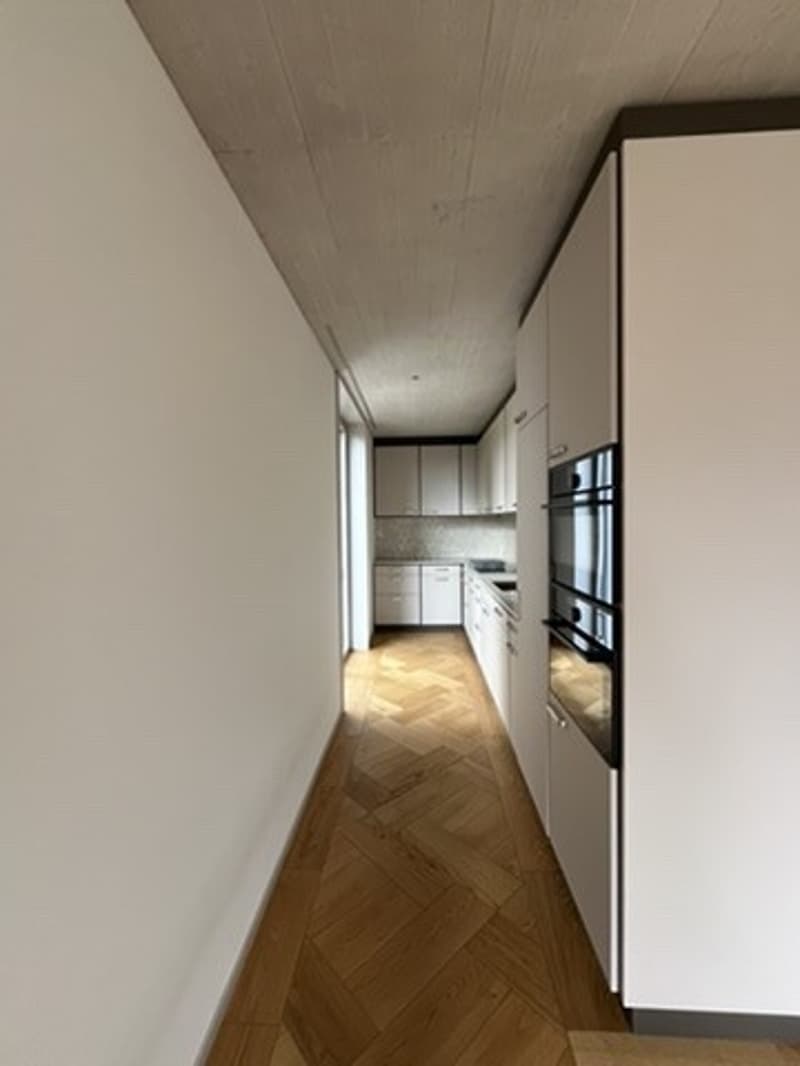 Grosszügige 3.5 Zimmer Wohnung beim Kreuzplatz Zürich mit Aussicht ins Grüne (3)