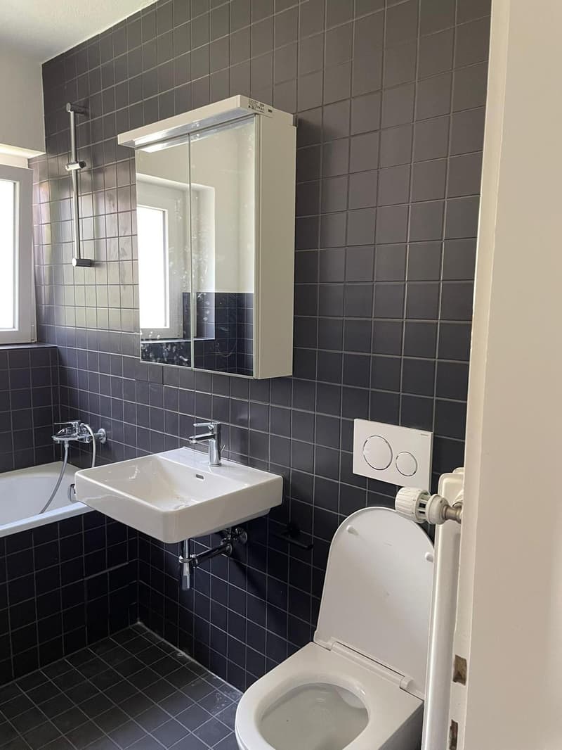4-Zimmer-Altbauwohnung mit grosser Terrasse an sonniger und zentraler Lage (8)