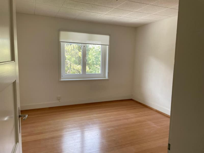 4-Zimmer-Altbauwohnung mit grosser Terrasse an sonniger und zentraler Lage (5)