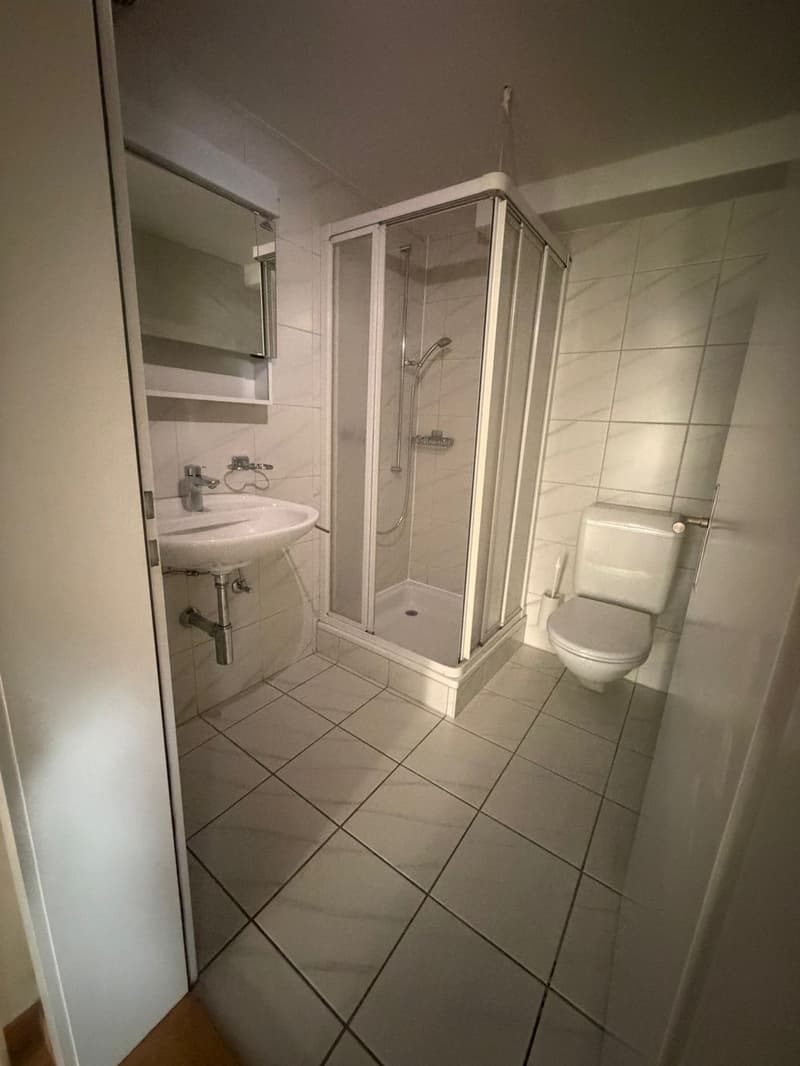 Frisch renovierte 2.5-Zimmer-Dachwohnung an der Paulstrasse 23 in Winterthur (10)