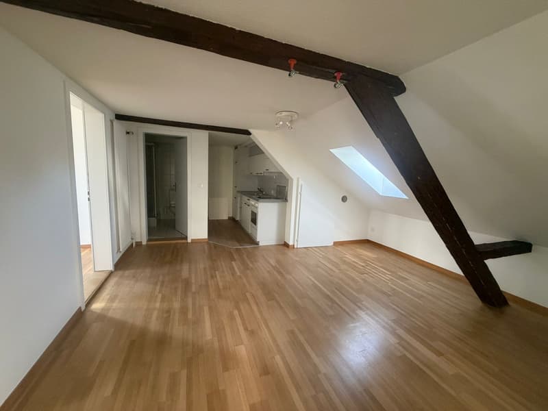 Frisch renovierte 2.5-Zimmer-Dachwohnung an der Paulstrasse 23 in Winterthur (1)
