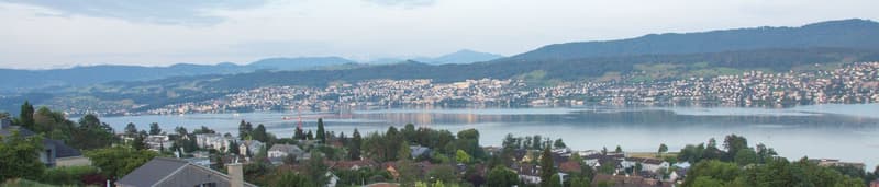 Hochparterre in Herrliberg - Wohnen an privilegierter Lage (4)