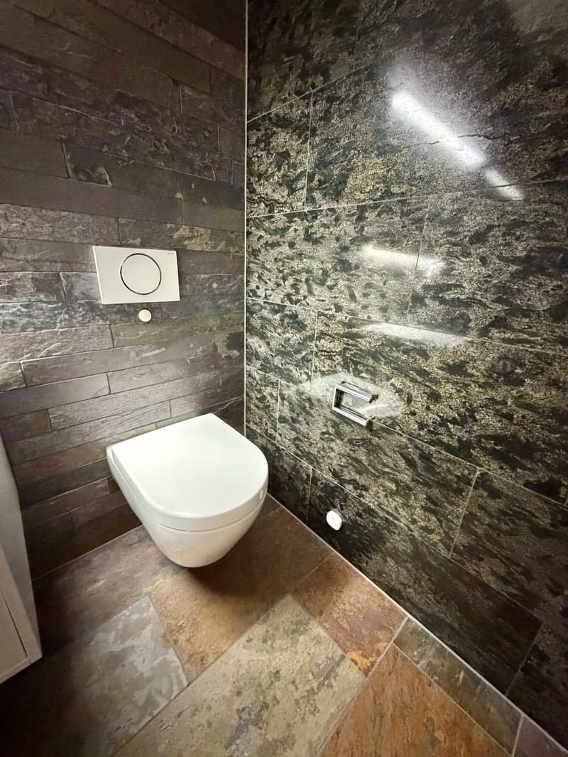 Stunning 3.5-Room Apartment in Zug  Available Immediately (8)