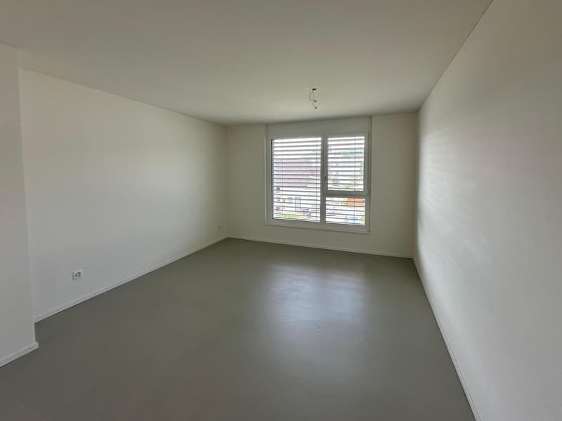 Moderne 3.5-Zimmer-Wohnung (4)