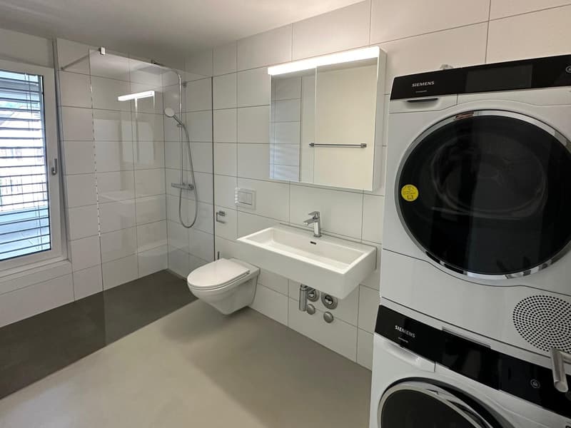Moderne 3.5-Zimmer-Wohnung (6)