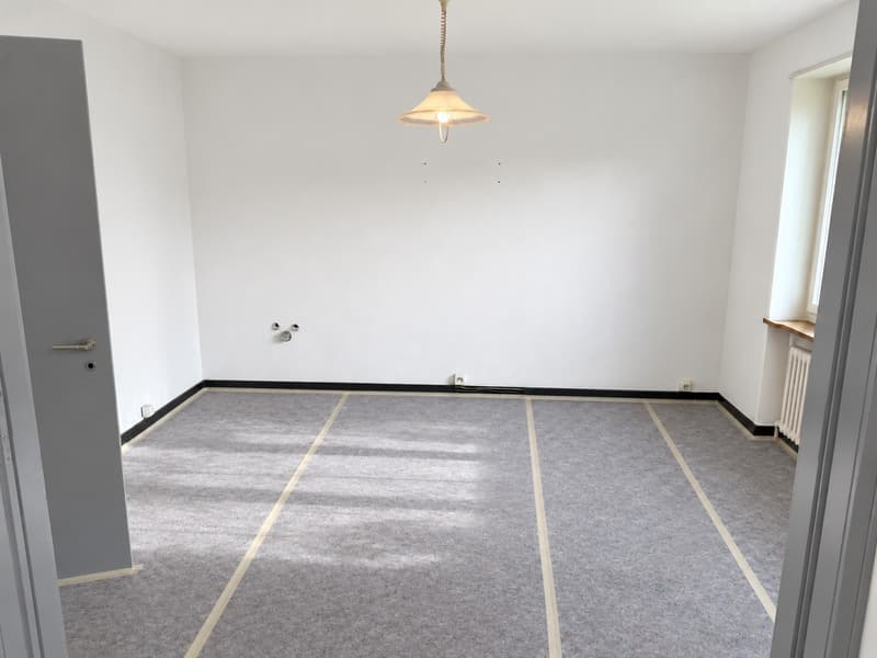 Erdgeschoss 4½-Zimmer-Wohnung mit Gartenblick / 3-Familienhaus (3)