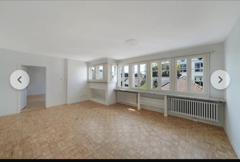 Grosszügige 2.5 Zimmerwohnung (7)