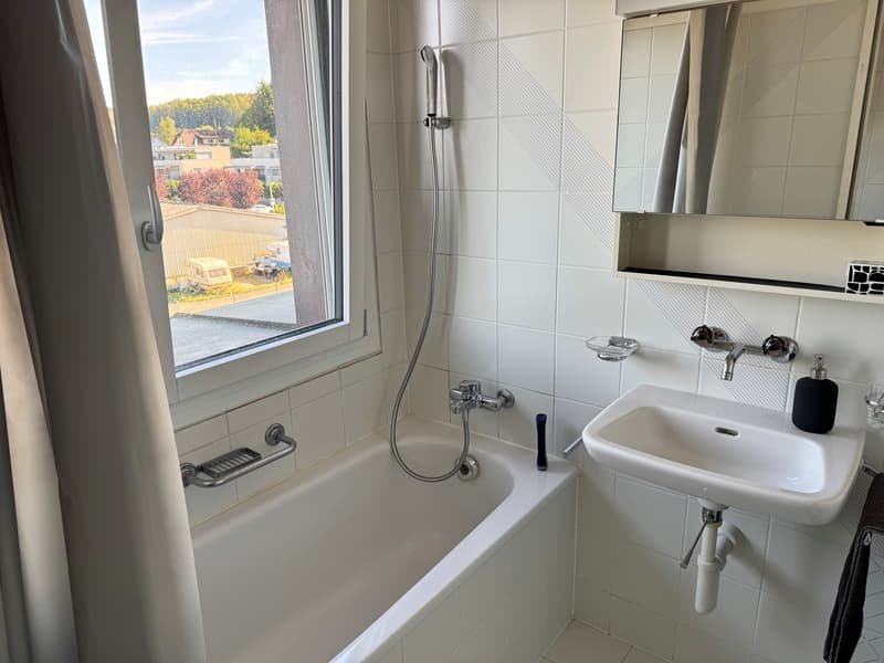 Frisch renovierte 3,5-Zimmer-Wohnung in Breitenbach  kurzfristig zu beziehen (7)