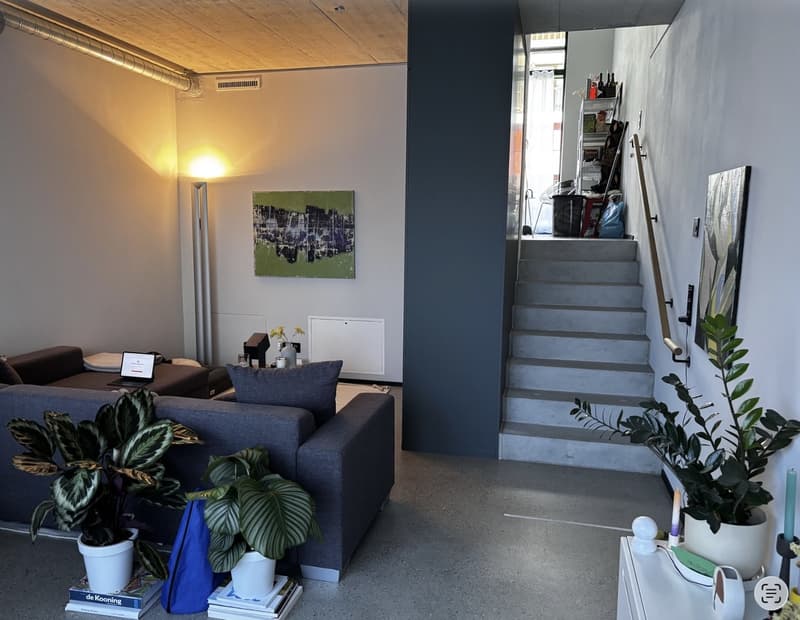 Topmoderne Split-Level Whg im Meinen Areal (1)
