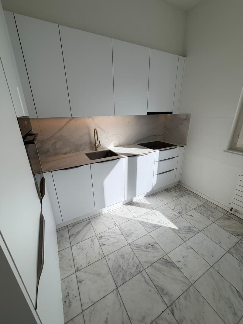 Stilvolles Wohnen im charmanten Altbau modern ausgebaut und lichtdurchflutet (2)