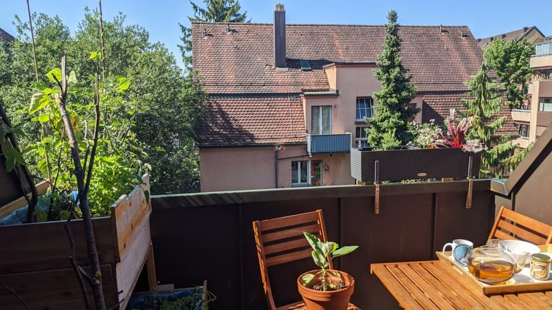 2 ½ Zimmer-Wohnung, 8057 Zurich (7)