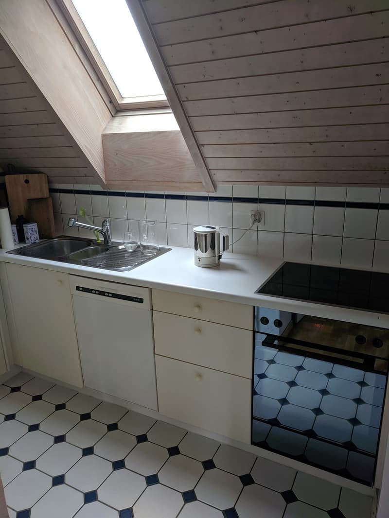 2 ½ Zimmer-Wohnung, 8057 Zurich (5)