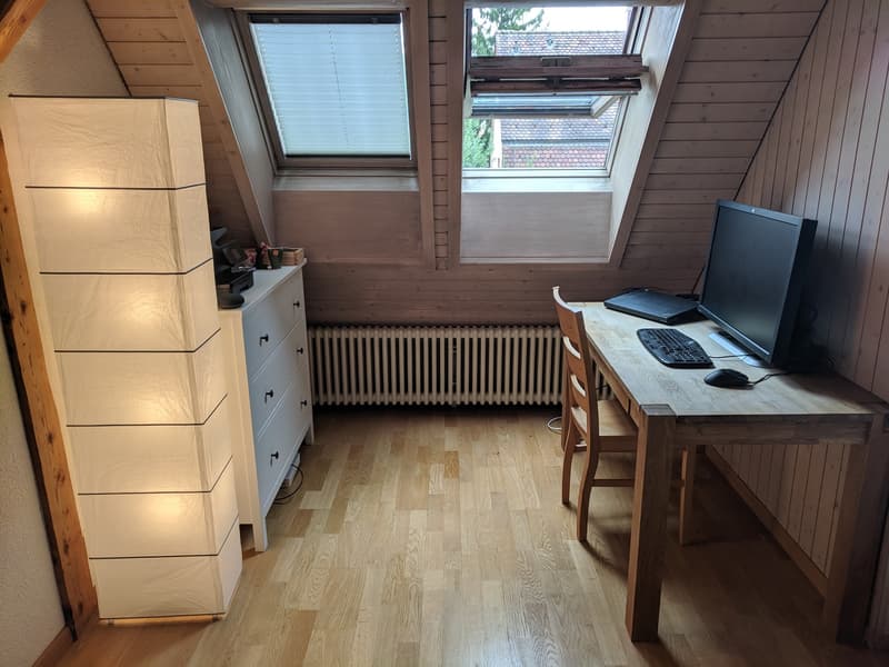 2 ½ Zimmer-Wohnung, 8057 Zurich (4)