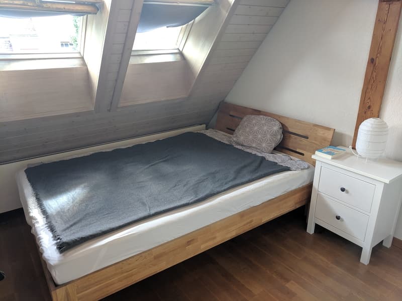 2 ½ Zimmer-Wohnung, 8057 Zurich (3)