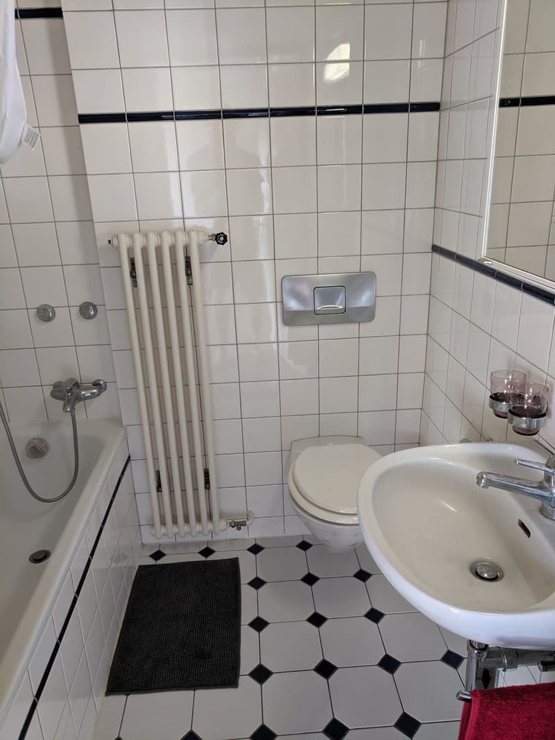 2 ½ Zimmer-Wohnung, 8057 Zurich (6)