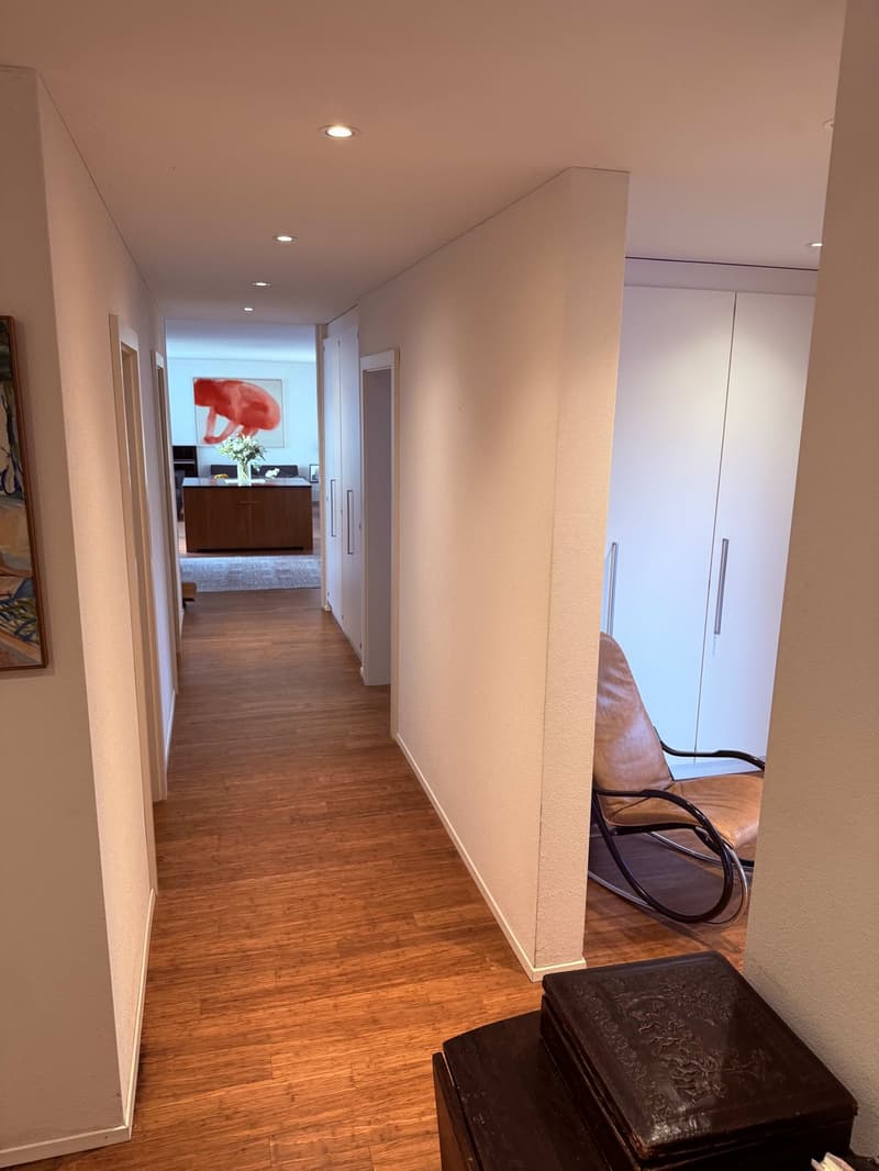 Grosszügige, möblierte 4 ½-Zimmer-Wohnung befristet für 6 Monate (5)