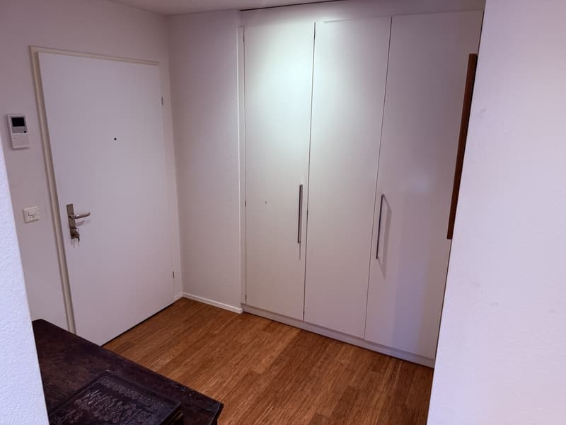 Grosszügige, möblierte 4 ½-Zimmer-Wohnung befristet für 6 Monate (11)