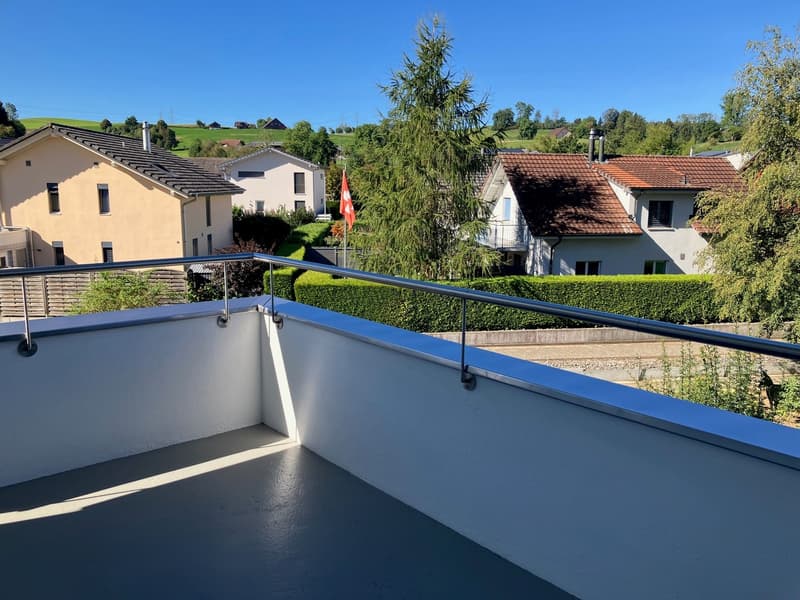 Helle 4.5-Zimmerwohnung mit grosser Terrasse in Neudorf (1)