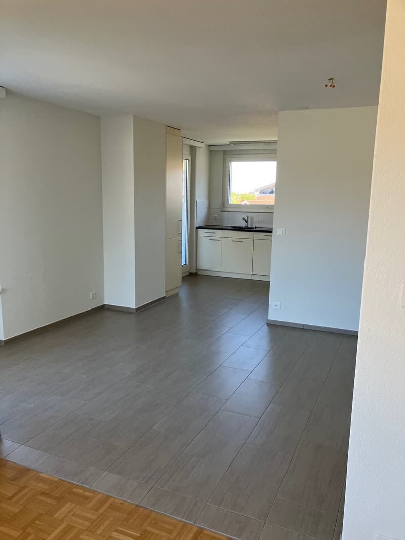 Helle 4.5-Zimmerwohnung mit grosser Terrasse in Neudorf (4)