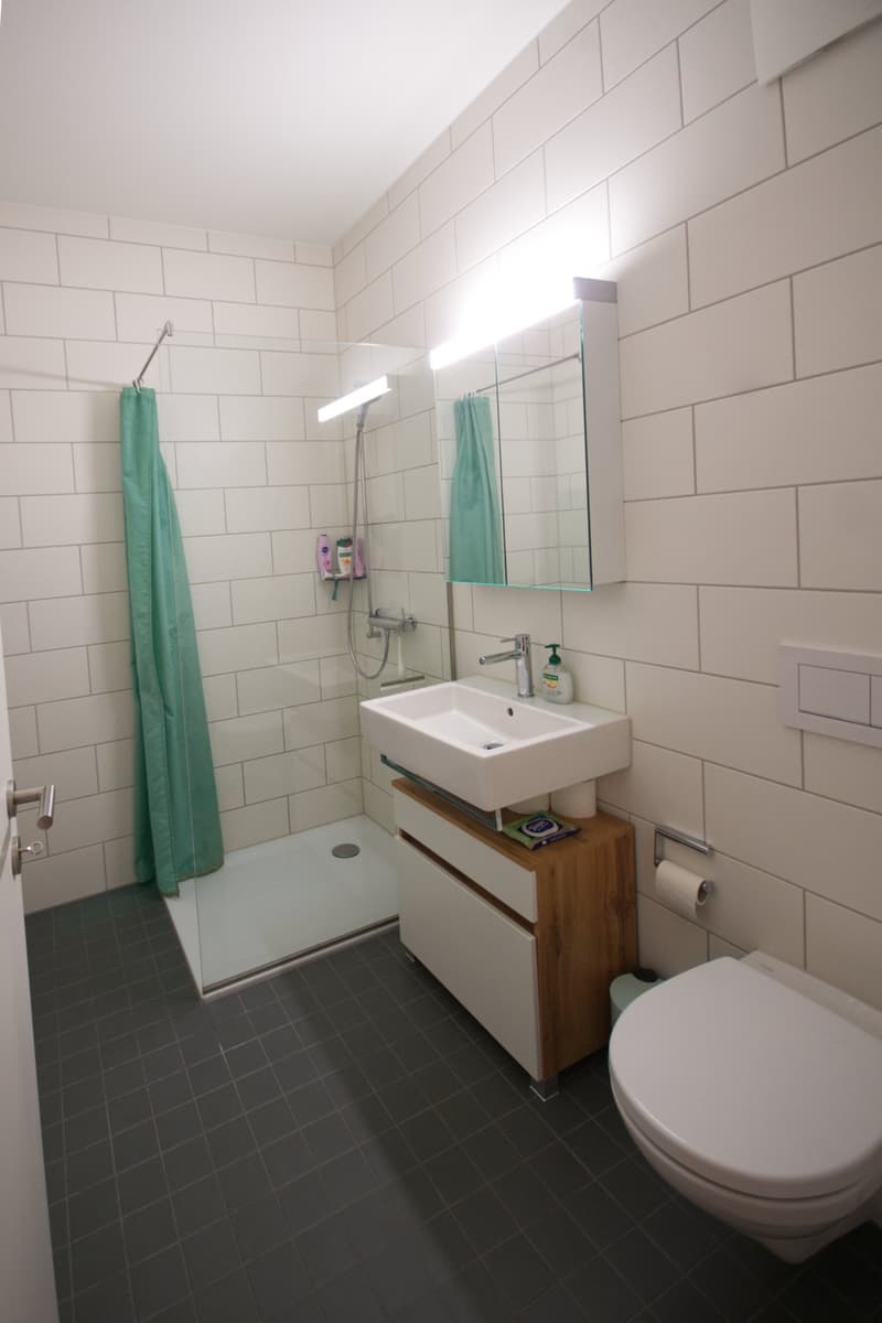 Moderne 4.5-Zimmer-Wohnung in Altbau! (6)