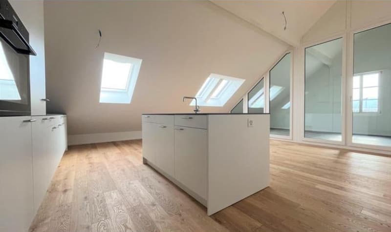 Moderne 4.5-Zimmer-Wohnung in Altbau! (2)