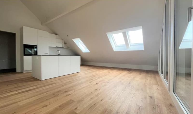 Moderne 4.5-Zimmer-Wohnung in Altbau! (3)