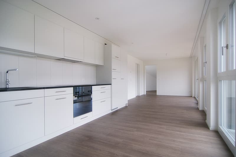 4.5 Zimmer Designer Wohnung zu vermieten (3)