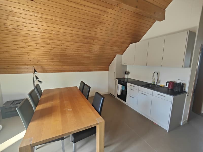 Frisch sanierte 2-Zimmerwohnung (3)