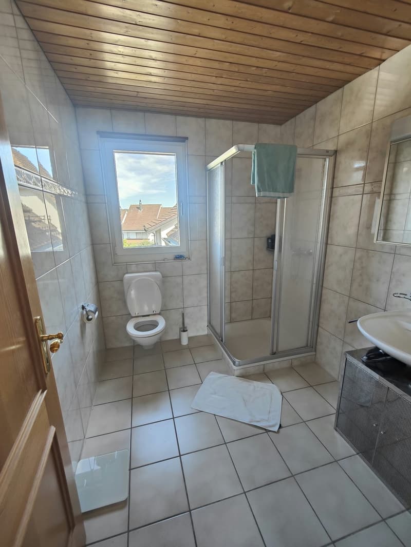 Frisch sanierte 2-Zimmerwohnung (10)