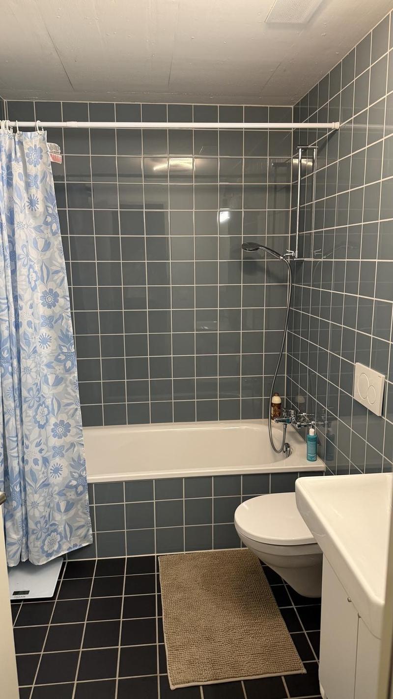 4.5-Zimmer-Wohnung in Horgen inkl. 2 Parkplätzen  Nachmieter gesucht (7)