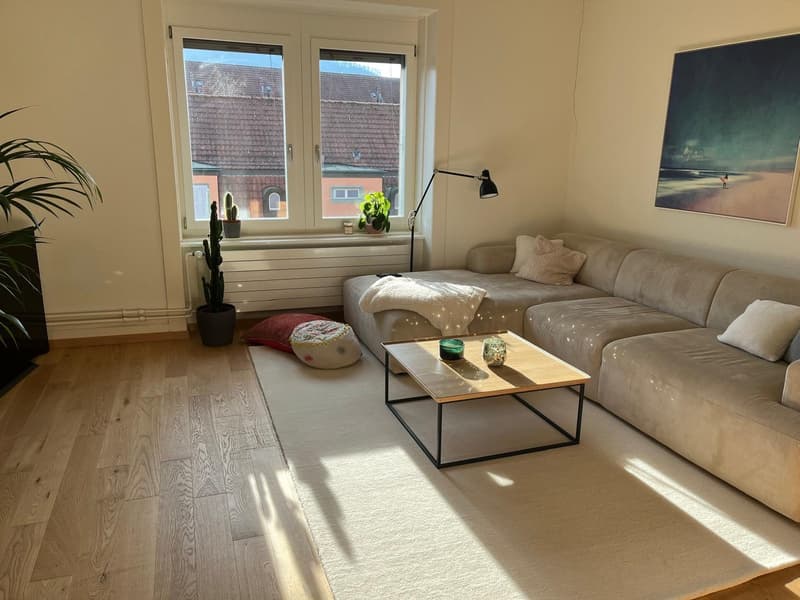 Schöne 3 Zimmer Wohnung mit Balkon in Enge (3)