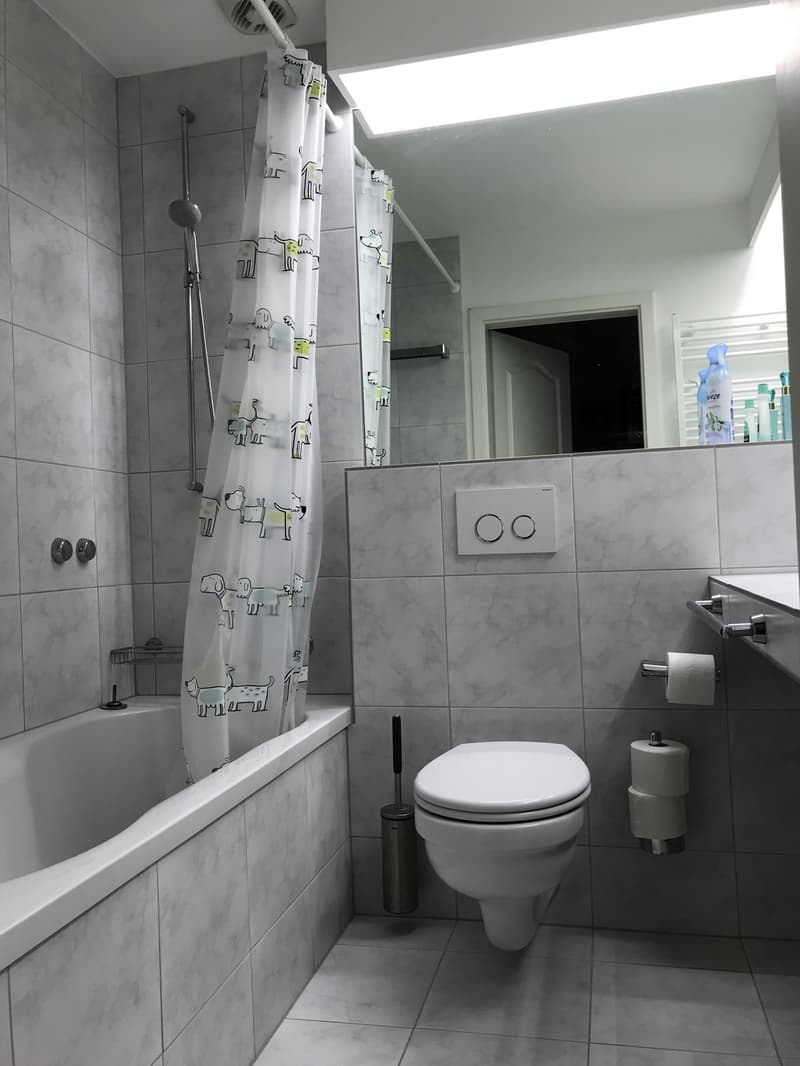 Lichtdurchflutete 2.5-Zimmer-Wohnung mit grossem Balkon in Hottingen (66 m²) (11)