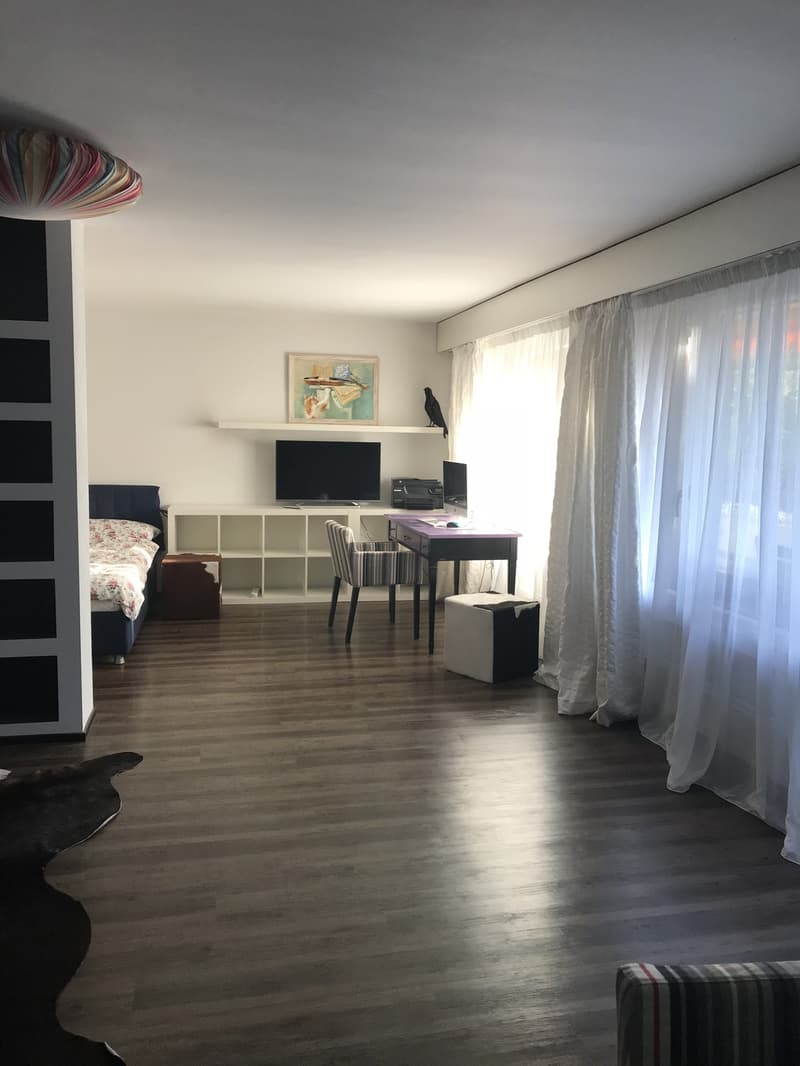 Lichtdurchflutete 2.5-Zimmer-Wohnung mit grossem Balkon in Hottingen (66 m²) (2)