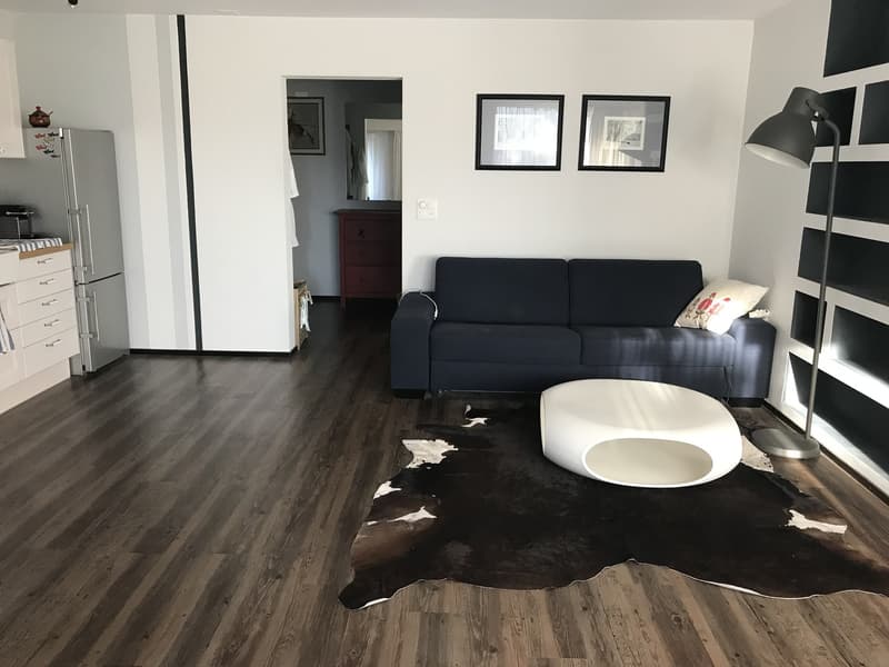 Lichtdurchflutete 2.5-Zimmer-Wohnung mit grossem Balkon in Hottingen (66 m²) (5)