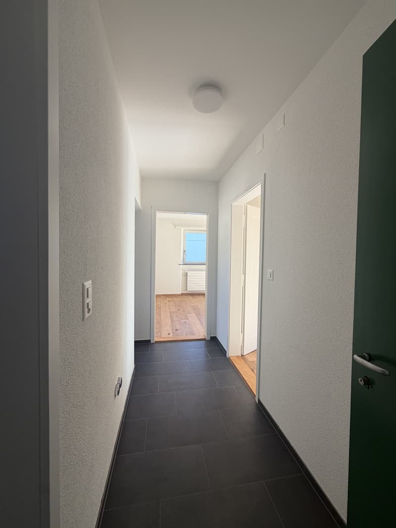 Helle, neu sanierte 2.5-Zimmer-Wohnungen am Aarmattweg 53 (6)