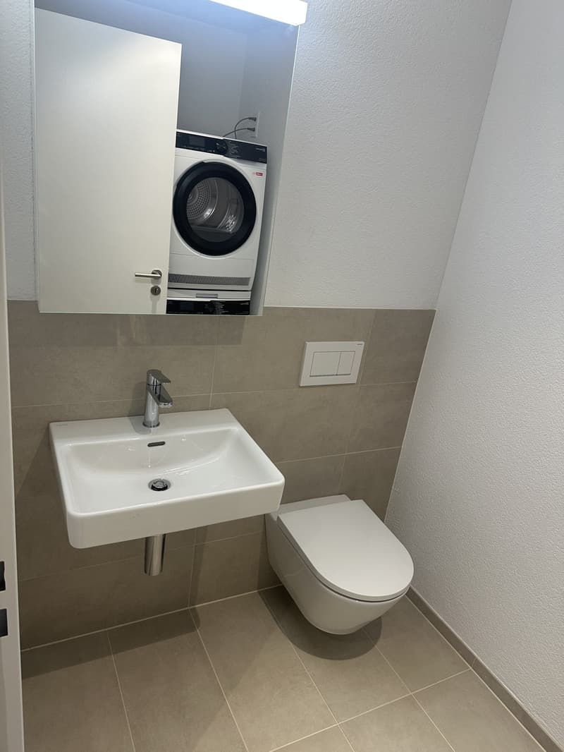 3.5 Zimmer Neubau-Wohnung zu vermieten in Reinach AG (9)