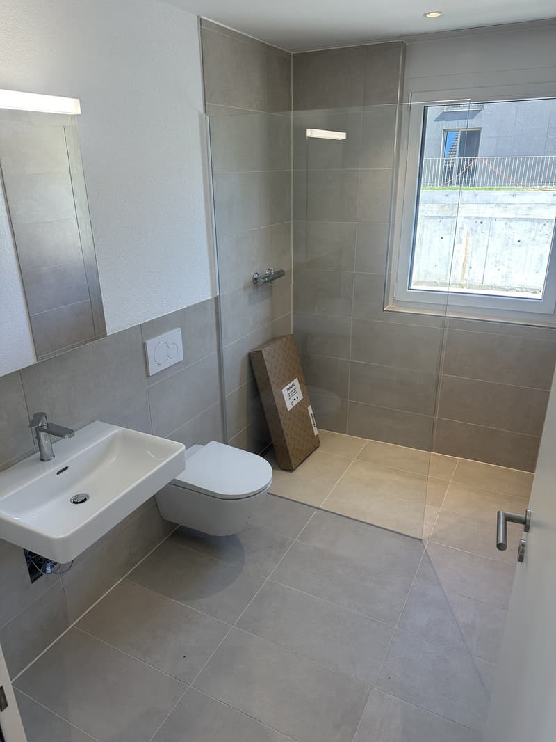 3.5 Zimmer Neubau-Wohnung zu vermieten in Reinach AG (4)