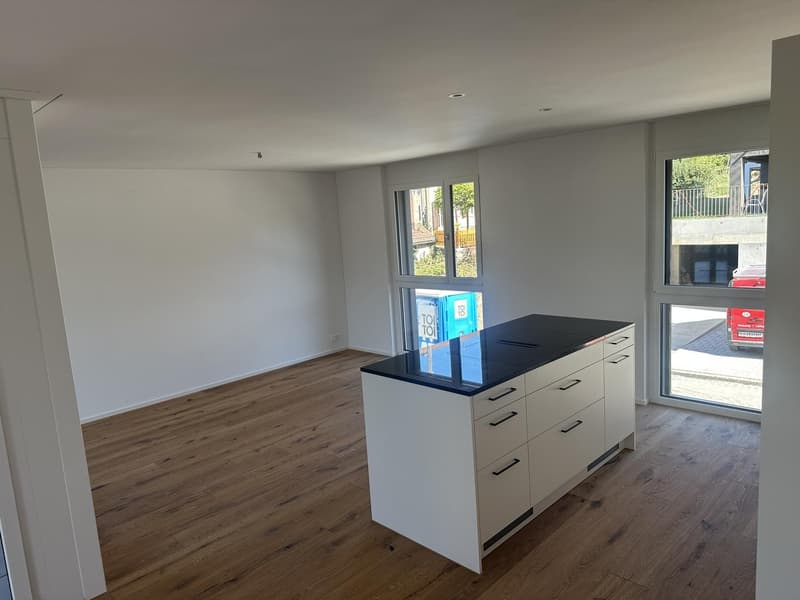3.5 Zimmer Neubau-Wohnung zu vermieten in Reinach AG (6)