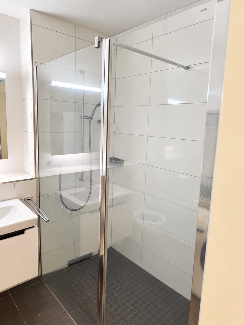 Wir suchen dringend einen Nachmieter für eine superschöne Wohnung mit Terrasse und Rasenplatz (7)