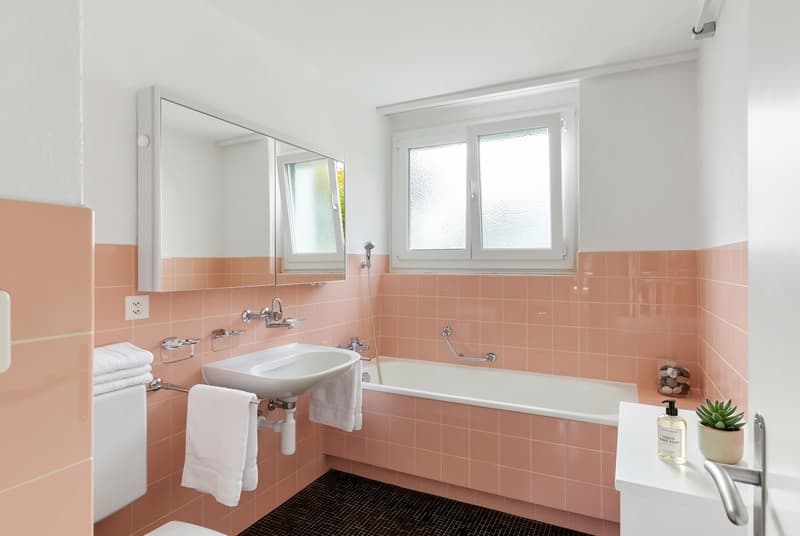 5 ½ Zimmer-Haus, 8600 Dübendorf (8)