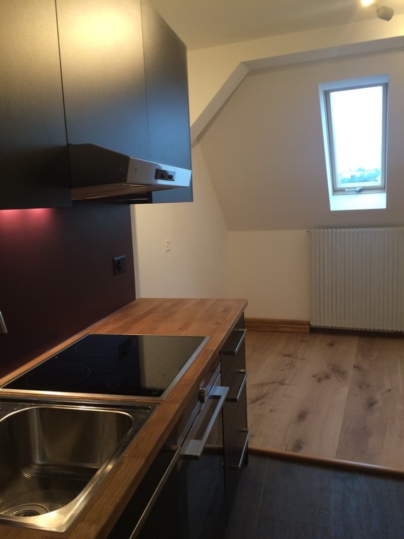 Duplex en attique avec cachet, jardin et vue (5)