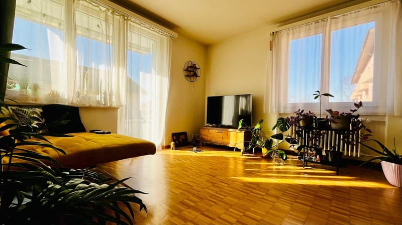 4 Zimmer-Wohnung, 6005 Luzern (2)
