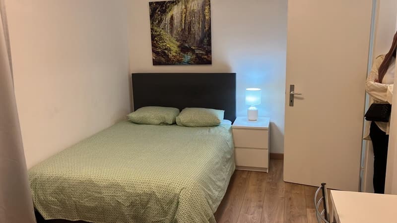 Prime location in Geneva - Cozy studio like new (1)