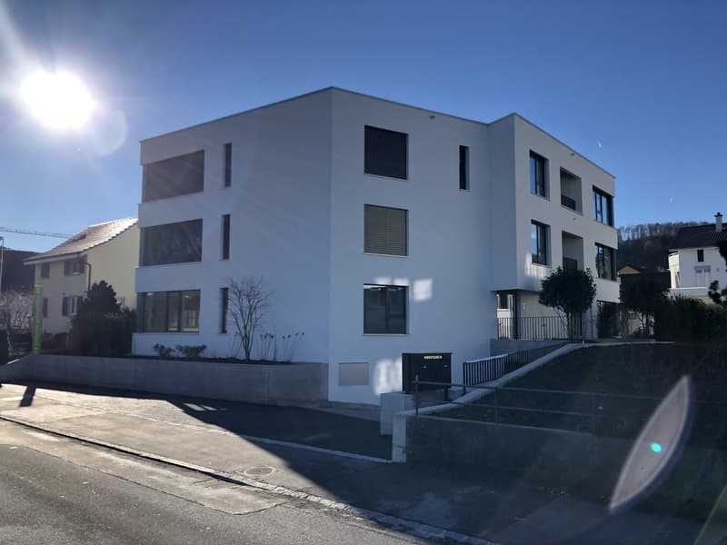 Moderne 3.5-Zimmer-Wohnung (9)